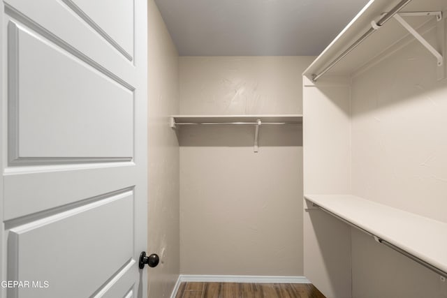 628 Milo Dr, El Paso, TX 79927 - walk in closet featuring dark wood finished floors