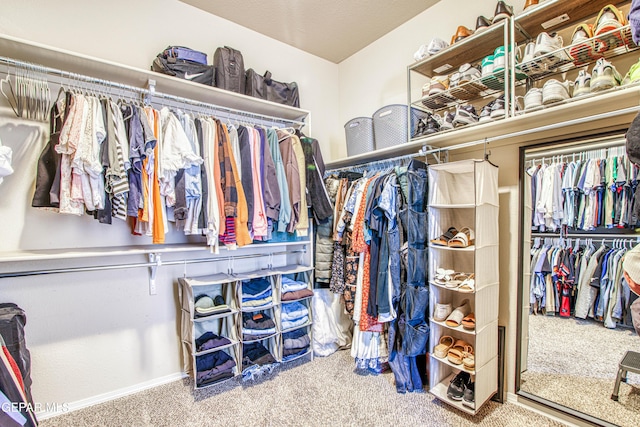 7517 Red Cedar Dr, El Paso, TX 79911 - walk in closet featuring carpet floors