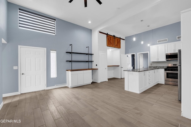 3899 Vanderveer Dr Unit A B C, El Paso, TX 79938 - kitchen with a towering ceiling, stainless steel appliances, a barn door, a peninsula, and ceiling fan