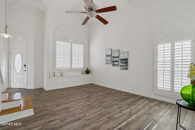 6929 Canyon View Ln, El Paso, TX 79912 - entryway with healthy amount of natural light, a high ceiling, a ceiling fan, wood finished floors, and baseboards