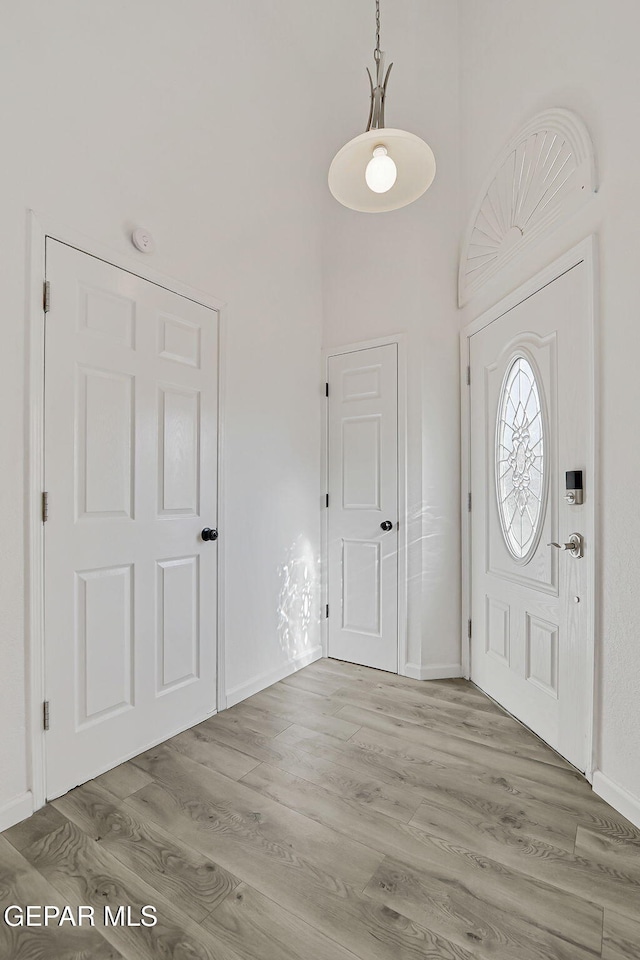 6929 Canyon View Ln, El Paso, TX 79912 - foyer entrance featuring wood finished floors, baseboards, and a high ceiling