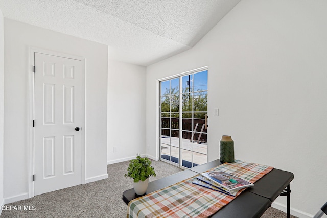 6929 Canyon View Ln, El Paso, TX 79912 - carpeted home office featuring a textured ceiling and baseboards