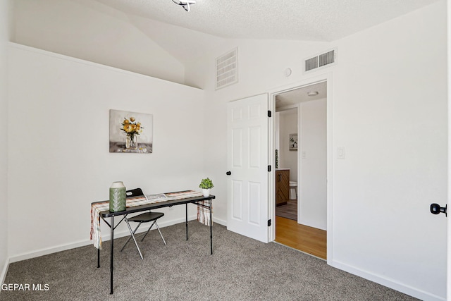 6929 Canyon View Ln, El Paso, TX 79912 - home office with carpet flooring, lofted ceiling, a textured ceiling, and baseboards