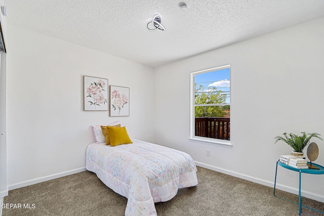 6929 Canyon View Ln, El Paso, TX 79912 - bedroom featuring carpet, baseboards, and a textured ceiling