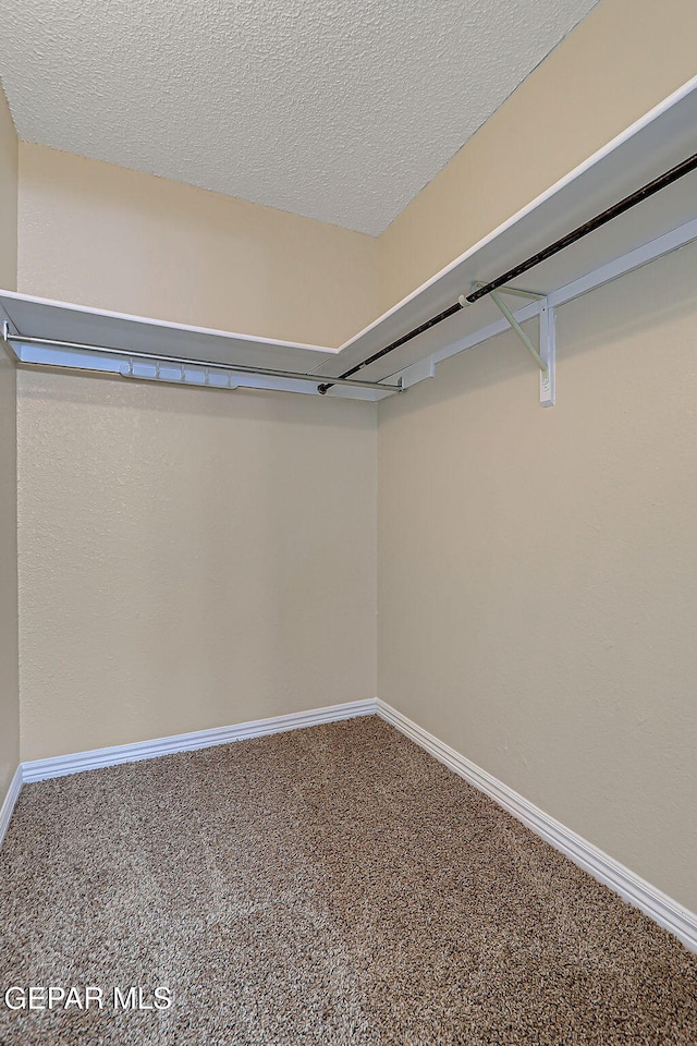 12013 Meadow Gate Dr, El Paso, TX 79936 - walk in closet with carpet flooring