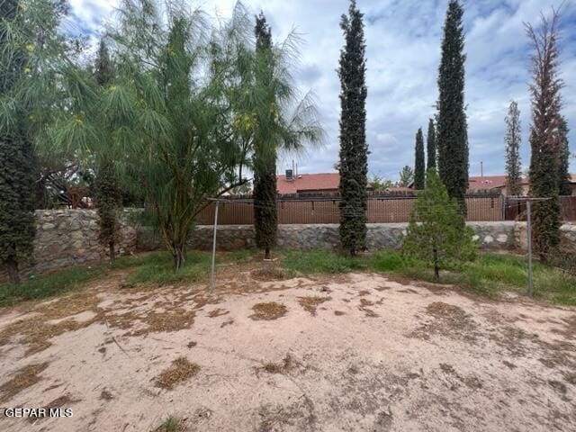 10256 Valle Suave Dr, El Paso, TX 79927 - view of yard