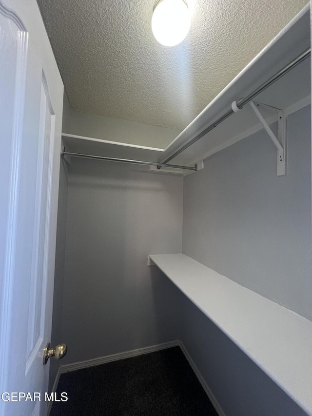 10256 Valle Suave Dr, El Paso, TX 79927 - view of spacious closet