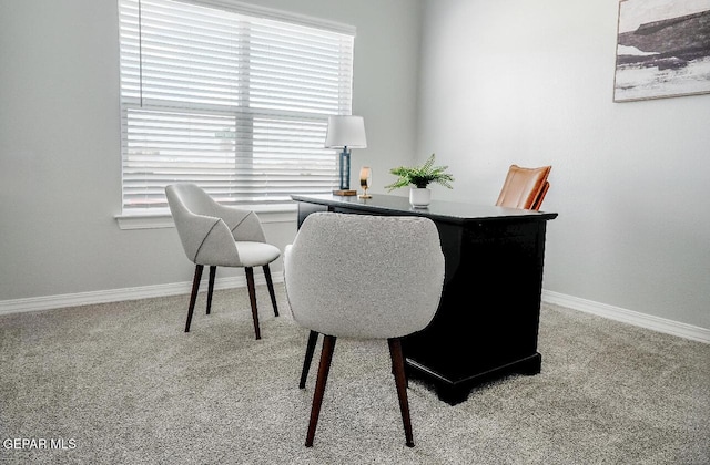 3920 Aspiration St, El Paso, TX 79938 - office space with carpet flooring