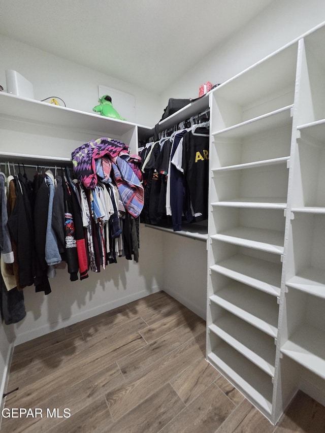 253 Playa Vis St, Horizon City, TX 79928 - walk in closet with wood finished floors
