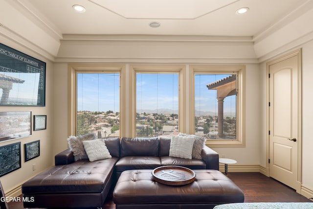 6572 Tuscany Ridge Dr, El Paso, TX 79912 - living room with dark wood-style flooring and recessed lighting