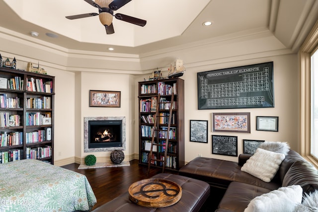 6572 Tuscany Ridge Dr, El Paso, TX 79912 - bedroom with a high end fireplace, a raised ceiling, wood finished floors, and recessed lighting