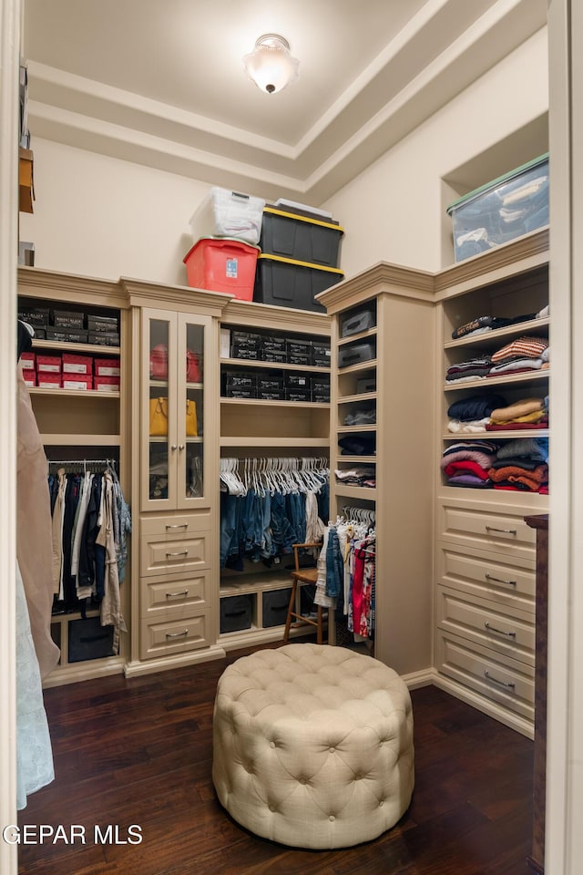 6572 Tuscany Ridge Dr, El Paso, TX 79912 - walk in closet featuring dark wood-style flooring