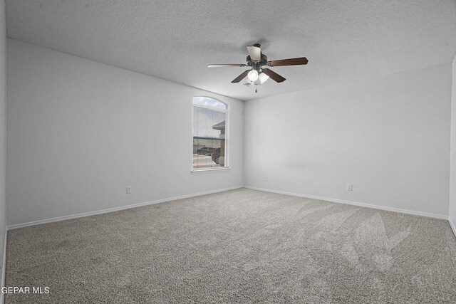 14345 Desert Cactus Dr, Horizon City, TX 79928 - photo 15