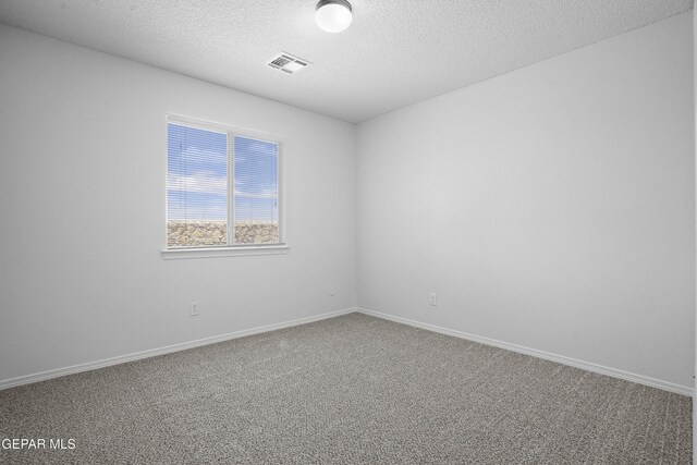 14345 Desert Cactus Dr, Horizon City, TX 79928 - photo 24