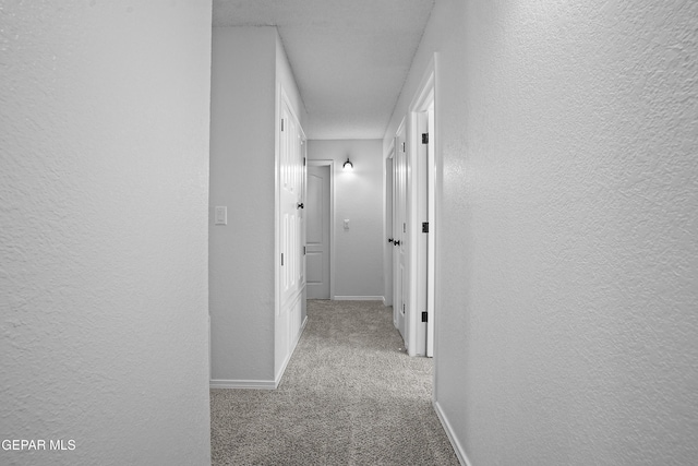 14345 Desert Cactus Dr, Horizon City, TX 79928 - photo 19