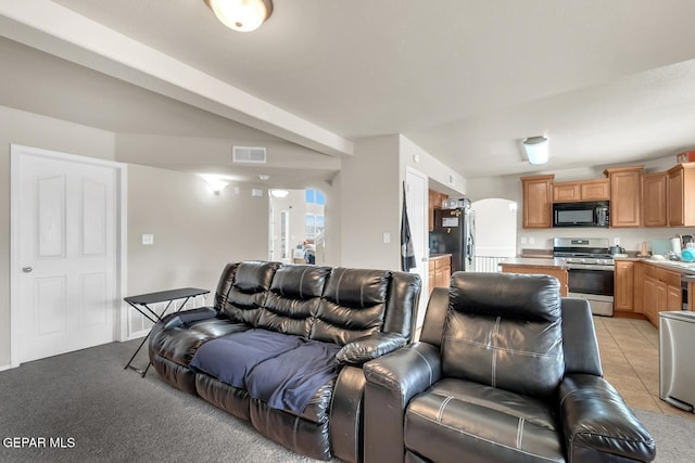 7101 Mesquite Tree Ln, El Paso, TX 79934 - living area with arched walkways