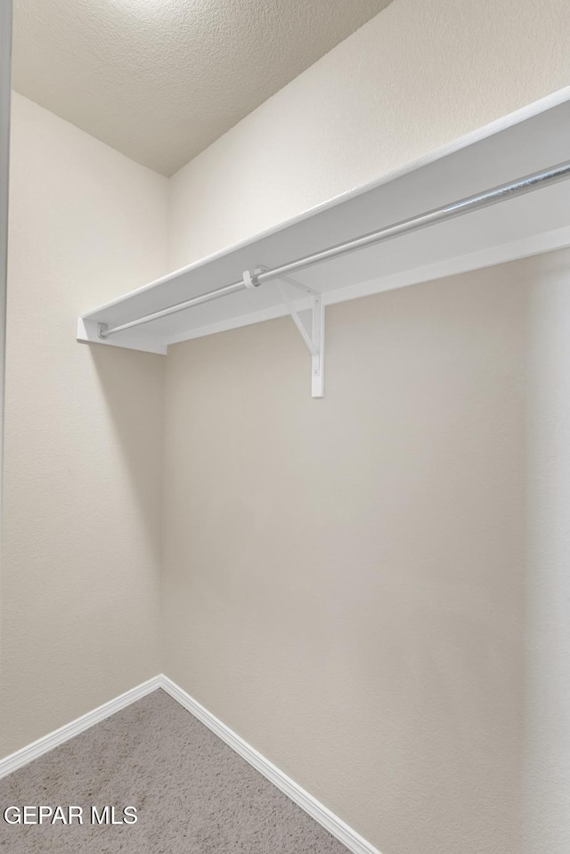7101 Mesquite Tree Ln, El Paso, TX 79934 - walk in closet featuring carpet floors