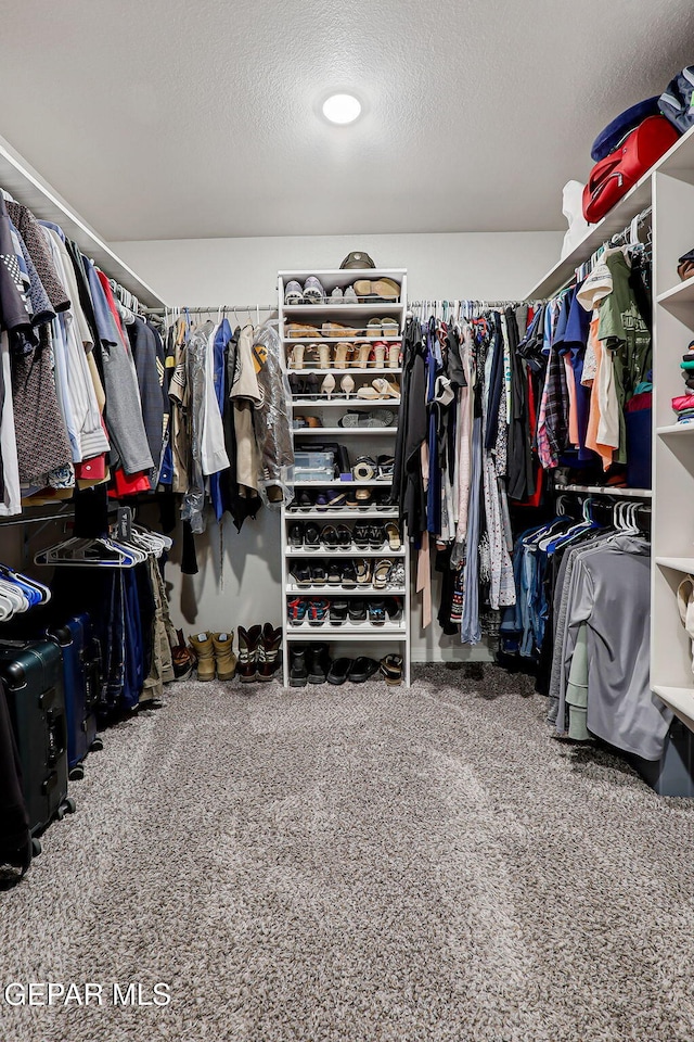 12749 Iron Falls Dr, Horizon City, TX 79928 - walk in closet with carpet floors