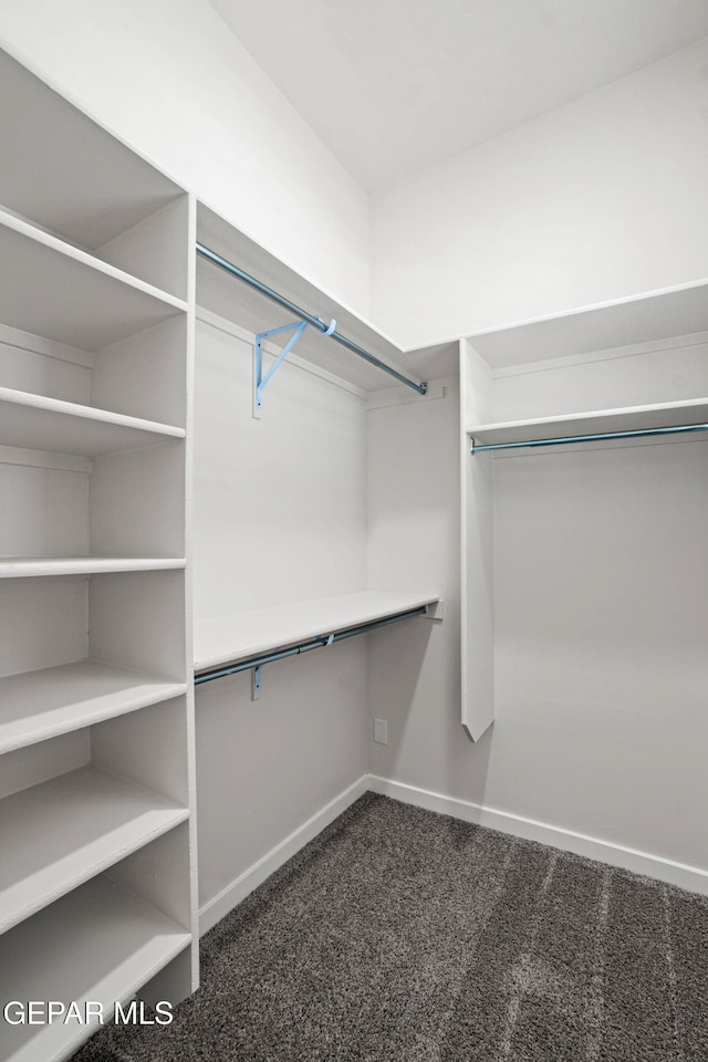 13351 Jeff Winton Dr, El Paso, TX 79928 - spacious closet with dark carpet