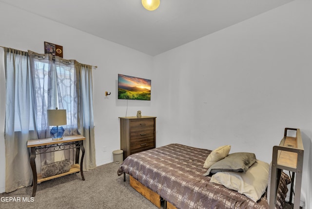 14250 Charles Pollock Ave, El Paso, TX 79938 - bedroom featuring carpet floors