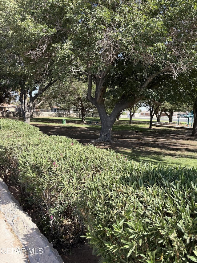 3223 Suffolk Rd, El Paso, TX 79925 - view of yard