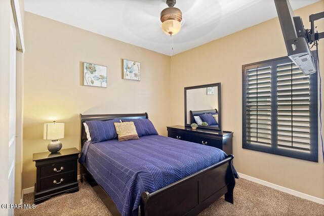 856 Cedar Park Ave, Santa Teresa, NM 88008 - photo 29