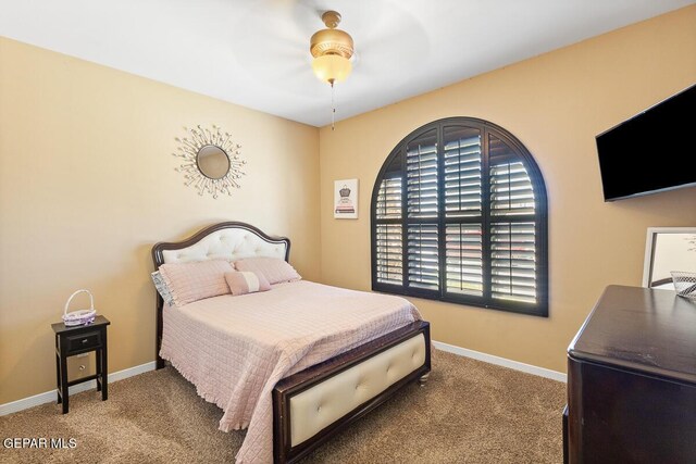 856 Cedar Park Ave, Santa Teresa, NM 88008 - photo 26