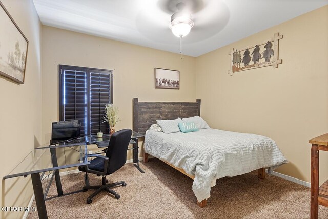 856 Cedar Park Ave, Santa Teresa, NM 88008 - photo 32