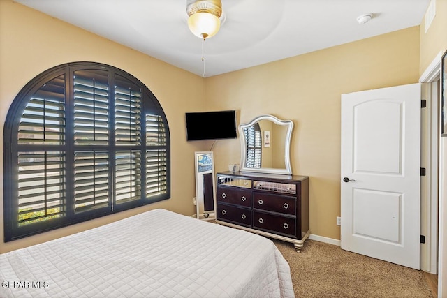 856 Cedar Park Ave, Santa Teresa, NM 88008 - photo 27