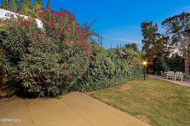 818 Kerbey Ave, El Paso, TX 79902 - view of grassy yard with a patio area