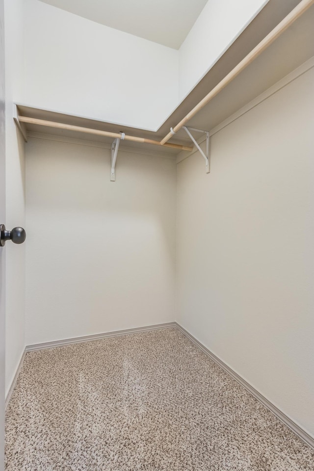 14294 Kayla Mia Dr, El Paso, TX 79938 - view of walk in closet