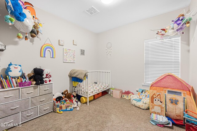 709 Cedarwood Ave, Horizon City, TX 79928 - photo 17
