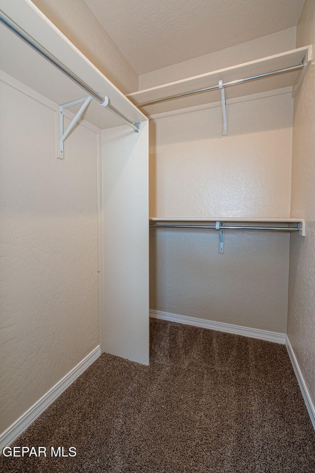 117 Camino Cresta Pl, Horizon City, TX 79928 - spacious closet featuring carpet floors