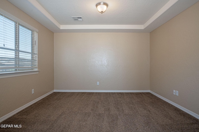 117 Camino Cresta Pl, Horizon City, TX 79928 - empty room with carpet and baseboards