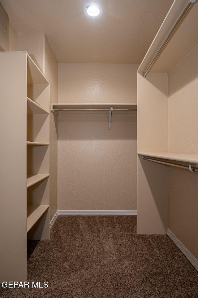 117 Camino Cresta Pl, Horizon City, TX 79928 - walk in closet featuring carpet floors
