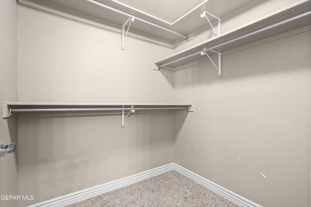 2909 Pino Triste Dr, El Paso, TX 79938 - walk in closet with carpet flooring