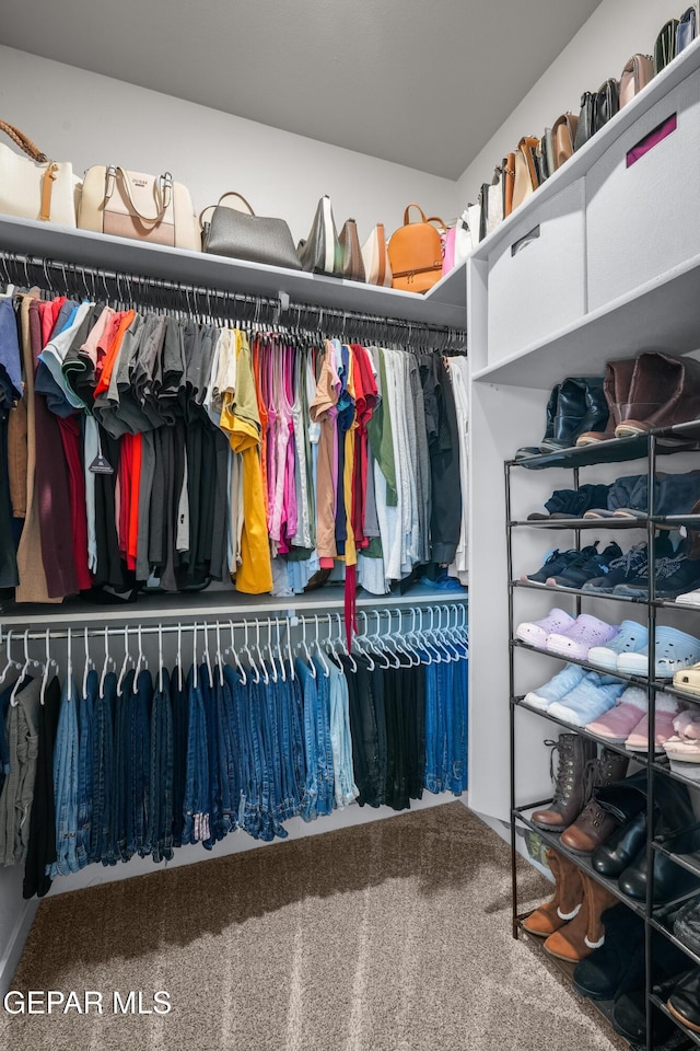 3452 David Palacio Dr, El Paso, TX 79938 - walk in closet featuring carpet flooring