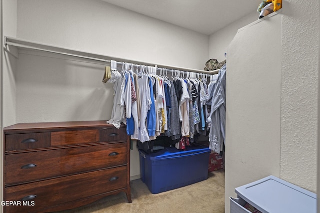 14236 Rattler Point Dr, El Paso, TX 79938 - spacious closet featuring carpet flooring