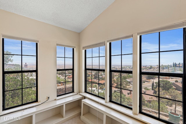 3134 Mesa Verde Ln, El Paso, TX 79904 - unfurnished sunroom with lofted ceiling, a textured ceiling, and plenty of natural light