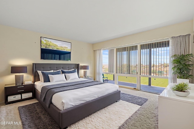 3134 Mesa Verde Ln, El Paso, TX 79904 - view of carpeted bedroom