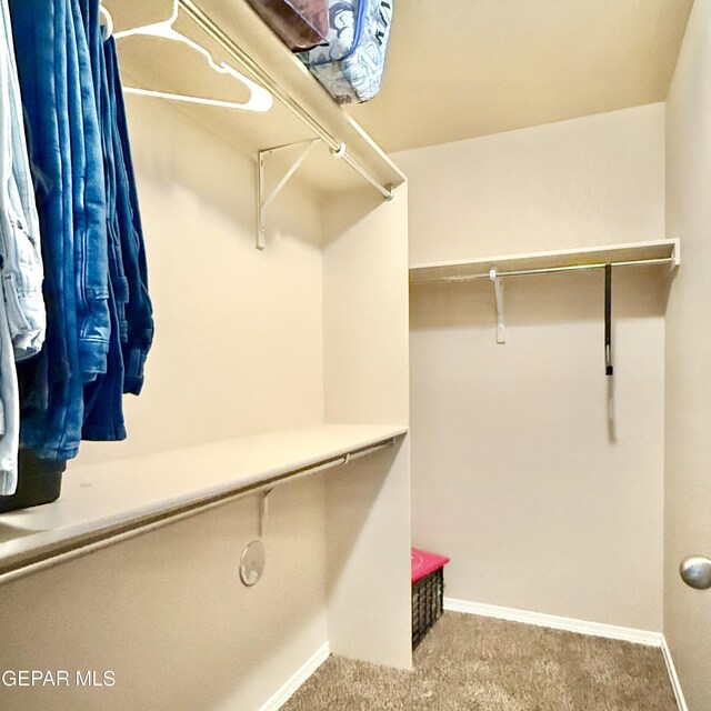 924 Talavera Dr, Horizon City, TX 79928 - photo 20