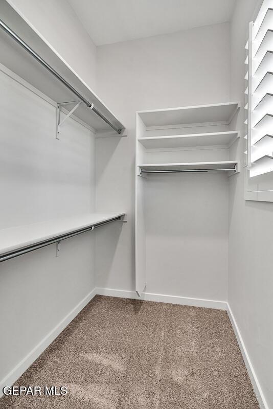 248 Emerald Storm Pl, El Paso, TX 79928 - walk in closet with carpet floors