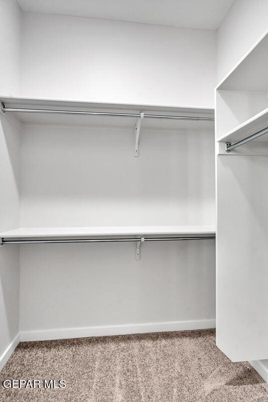 248 Emerald Storm Pl, El Paso, TX 79928 - spacious closet with carpet