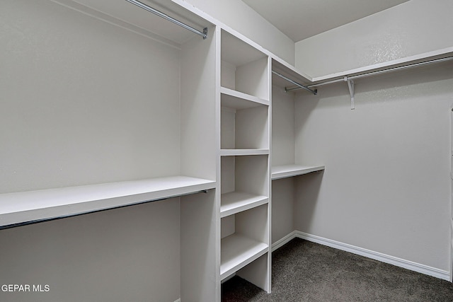 3841 Tierra Campa Dr, El Paso, TX 79938 - walk in closet featuring dark colored carpet