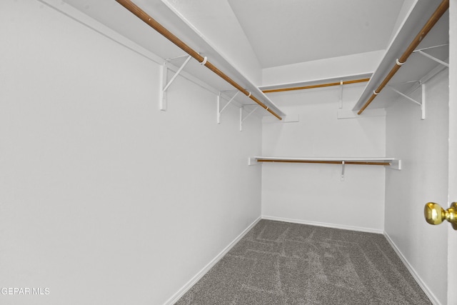 11929 Mesquite Miel Dr, El Paso, TX 79934 - photo 30