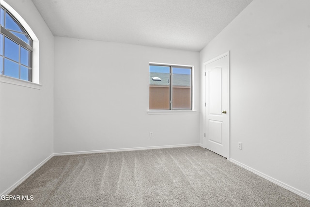 11929 Mesquite Miel Dr, El Paso, TX 79934 - photo 19