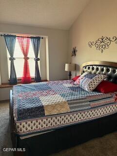 3073 Tierra Salada Dr, El Paso, TX 79938 - photo 12