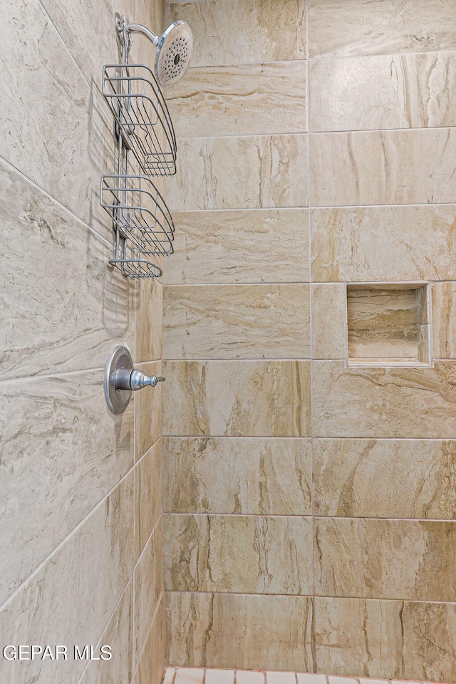 11589 Flor Cadillo, Socorro, TX 79927 - bathroom view of tiled shower