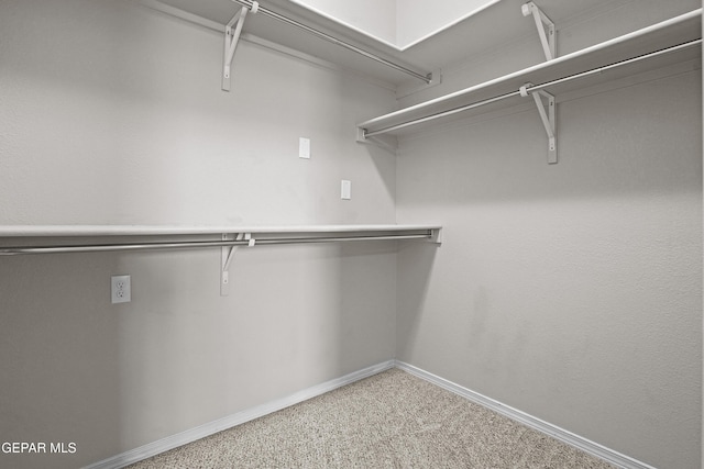 14391 Loma Esmeralda, El Paso, TX 79938 - walk in closet with light carpet