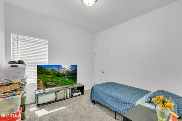 14423 Kayla Mia Dr, El Paso, TX 79938 - bedroom with carpet and baseboards